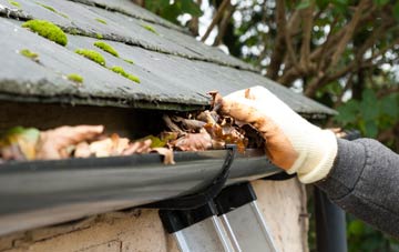 gutter cleaning Leitfie, Perth And Kinross