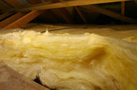 Leitfie pitch roof insulation
